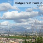 Ridgecrest Park in Aliso Viejo