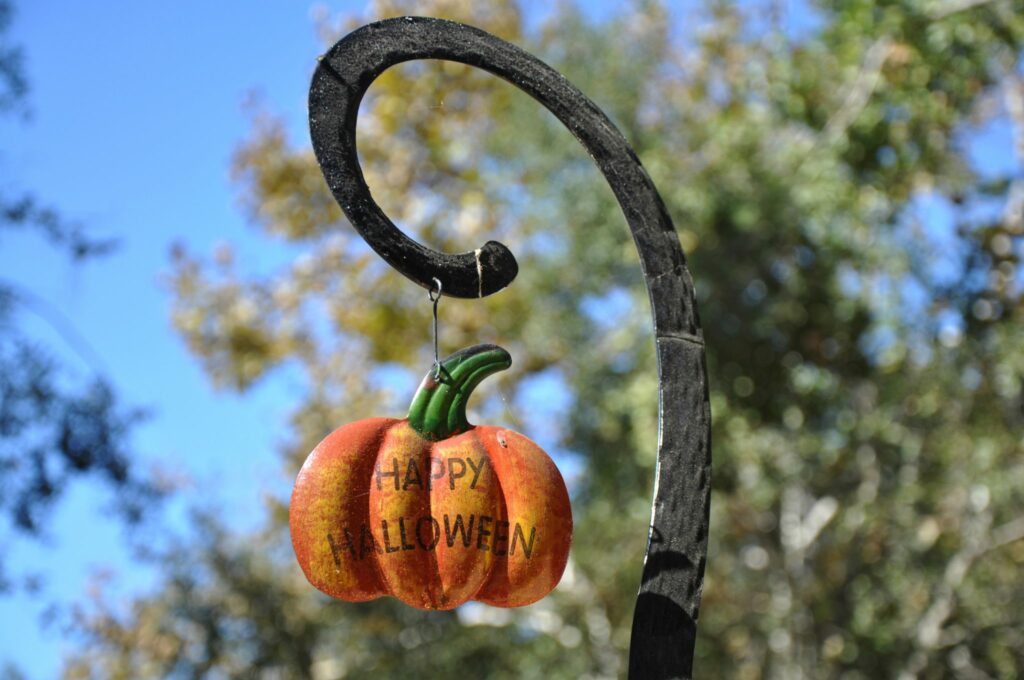 Pumpkin Patch South Orange County