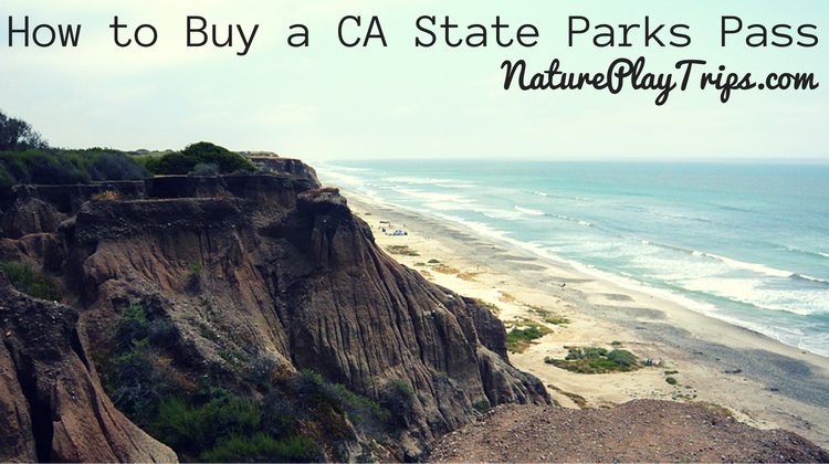 Can You Buy a State Park Pass?  Unlocking Nature's Treasures