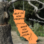 shop-local-and-play