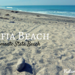 Calafia State Beach
