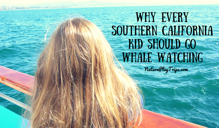 Why EverySouthern California Kid Should