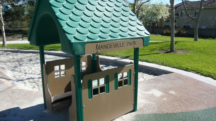 Mandeville Park: Palm Trees Create a Playful Oasis