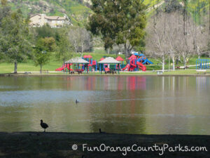 Carbon Canyon Regional Park: The $5 Park with $10 Worth of Fun