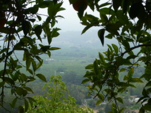 Ojai Hike on Shelf Road: June Gloom Getaway in Ventura County