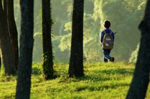 Fun Outdoor Activities for Kids and Families: Guest Blog by Play Outdoors