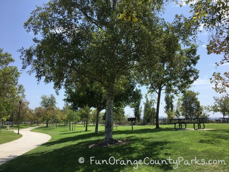 Foothill Ranch Community Park in Lake Forest Fun Orange County Parks