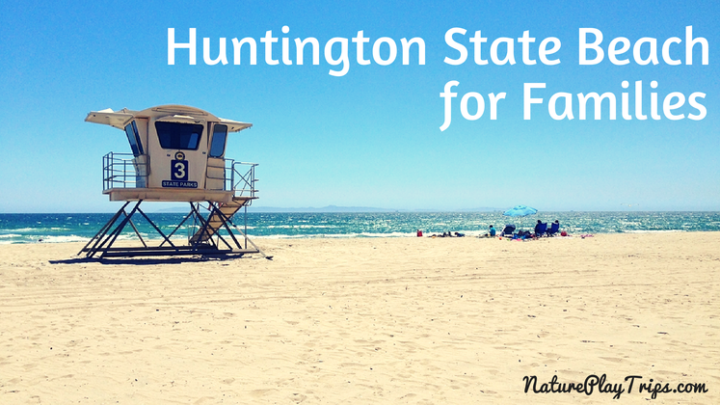 Huntington State Beach for Families