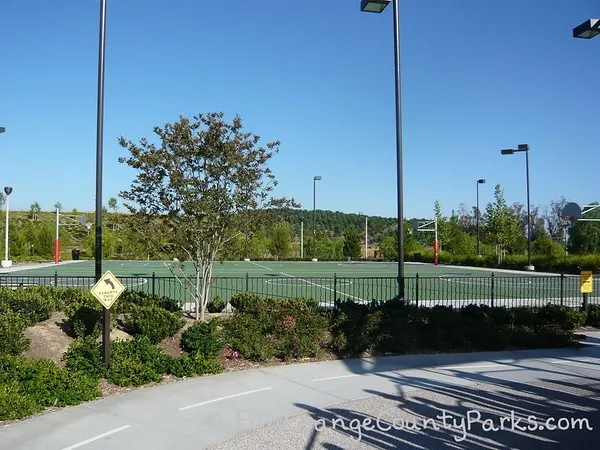 basketball court