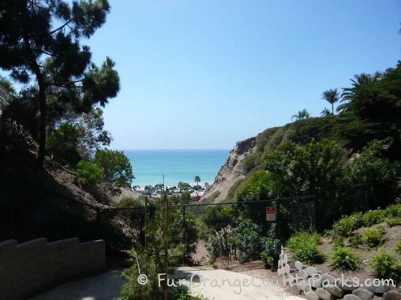 view of ocean between beach bluffs dotted with palm and pine trees