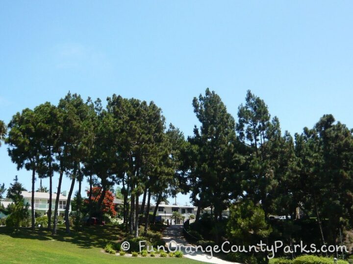 Pines Park in Dana Point (Capo Beach) Fun Orange County Parks