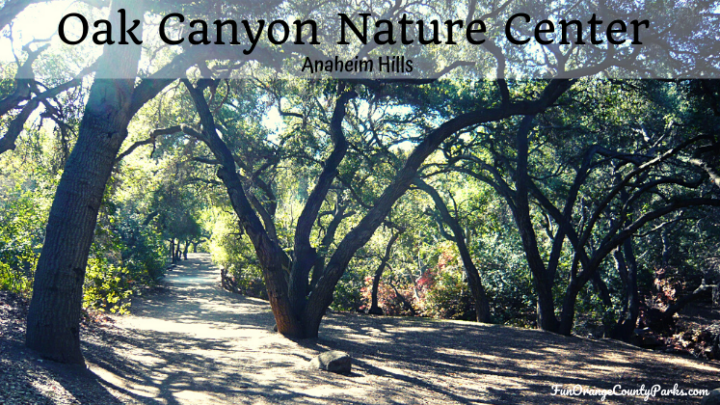 Oak Canyon Nature Center in Anaheim Hills for Kid-Friendly Hiking