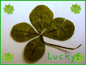 Lucky Four-Leaf Clover