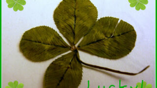 Lucky Four-Leaf Clover