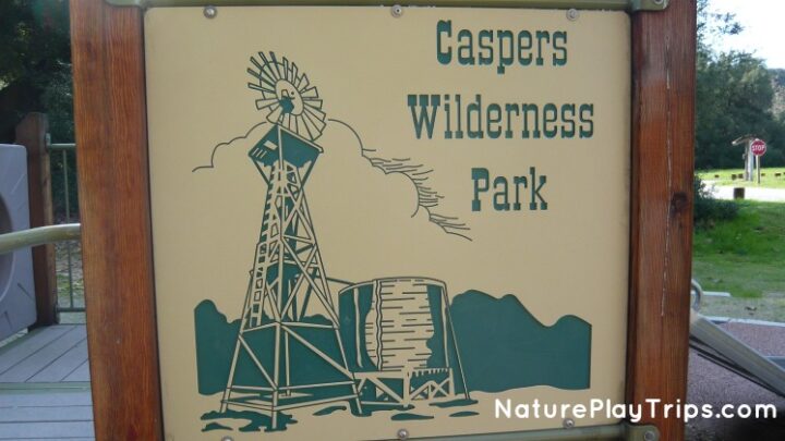 Caspers Wilderness Park: Discover Nature and Beauty Off Ortega Highway