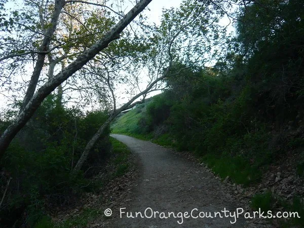 Trestles Walk