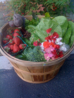 Community Supported Agriculture (CSA): Get Fresh Local Produce