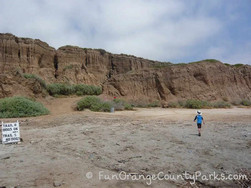 San Onofre bluffs with Trail 5 and Trail 6 signs and small boy in foreground