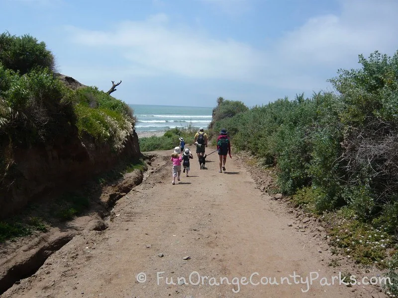 Family group on the way to beach