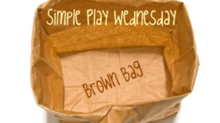 Simple Play Wednesday: Brown Bags