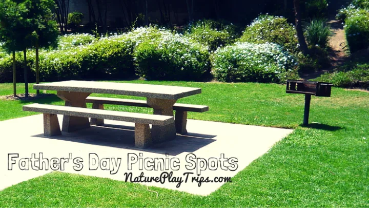 Father's Day Picnic Spots