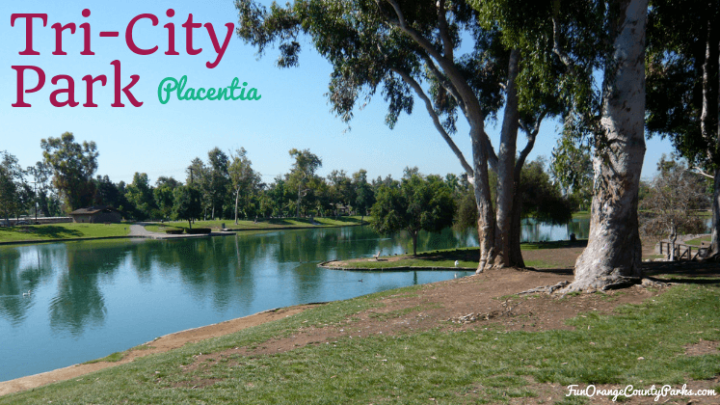 Tri-City Regional Park in Placentia: See Turtles in the Lake and Dodge Waddling Waterfowl