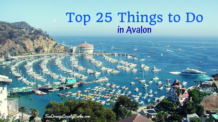 Avalon – Top 25 Things to Do in Catalina Island’s Popular Destination