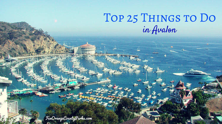 25 Things To Do Avalon 