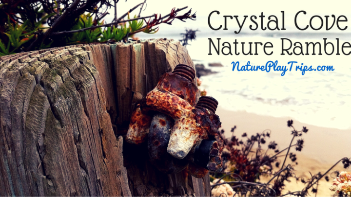 Crystal Cove Nature Ramble