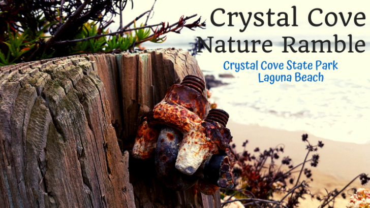 Crystal Cove Nature Ramble
