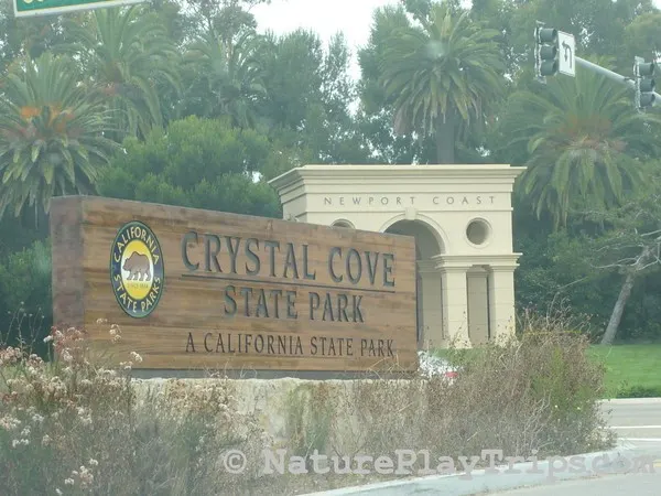 Crystalline-Cove's Posts