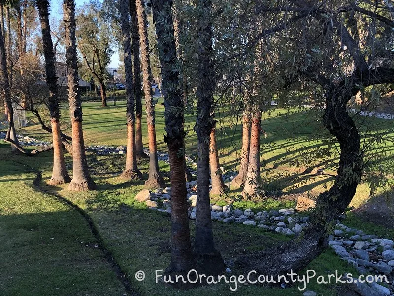 rocky streambed through trees