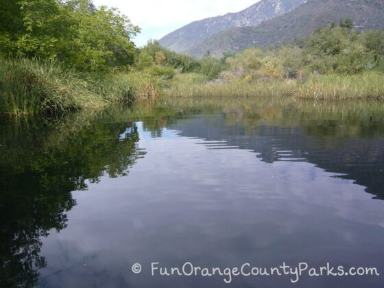 oak glen preserve wildlands conservancy reflection pond