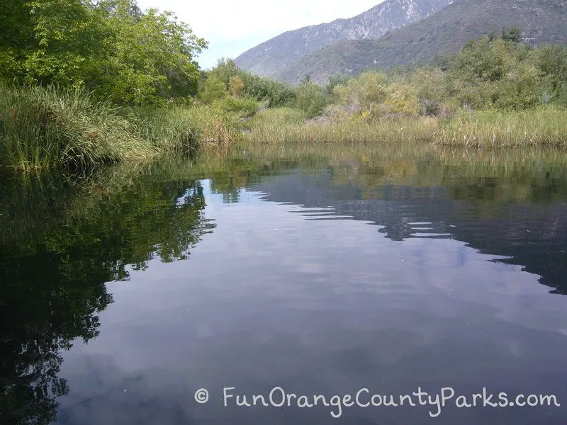 oak glen preserve wildlands conservancy reflection pond