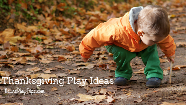Thanksgiving Family Play Ideas