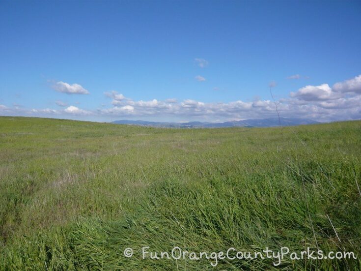 Quail Hill Loop Trail in Irvine - Fun Orange County Parks