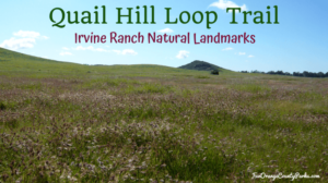 Quail Hill Loop Trail in Irvine