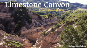 Visit the Limestone Canyon Viewing Deck to See the Sinks