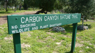 Nature’s Nightlife in Carbon Canyon Regional Park