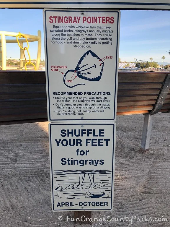 stingray warning signs
