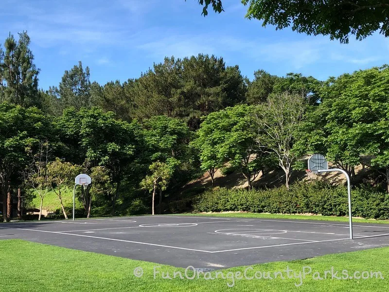 basketball court