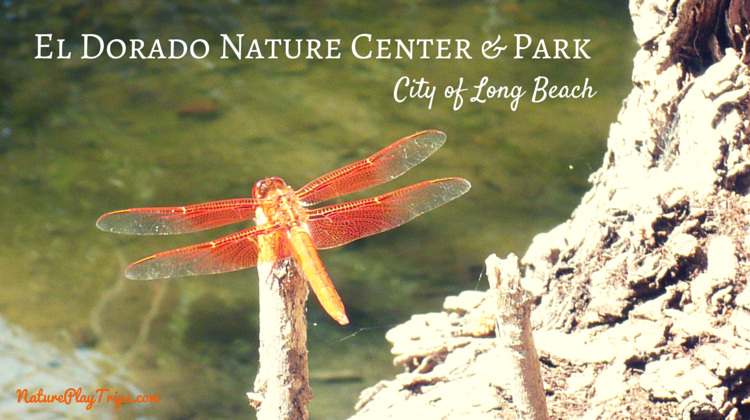El Dorado Park Nature Center Trail Map El Dorado Park Nature Center Trail Map