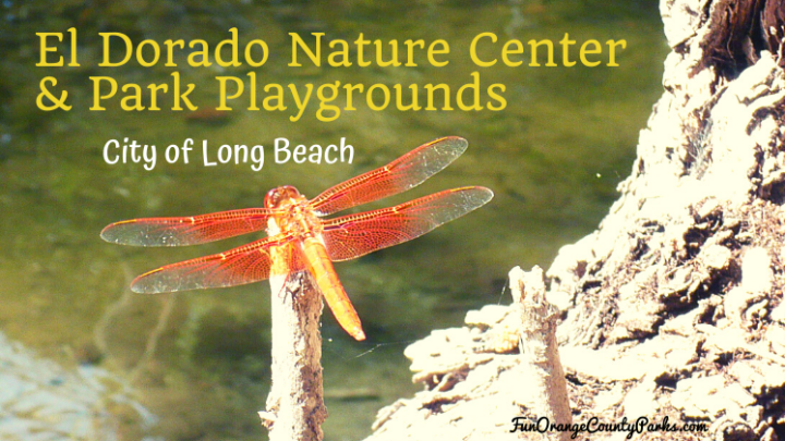 El Dorado Nature Center and Park in Long Beach (Guide for Families)