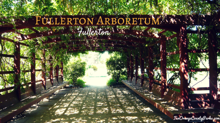 Fullerton Arboretum: Nature Walks through the Trees