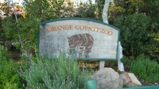 Affordable Family Outing: 5 Things about the OC Zoo