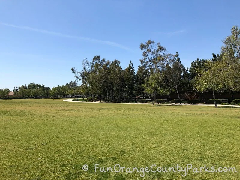 Valencia Park grassy area