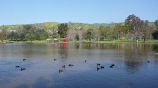 5 Senses of Science and Nature at Carbon Canyon Regional Park in Brea