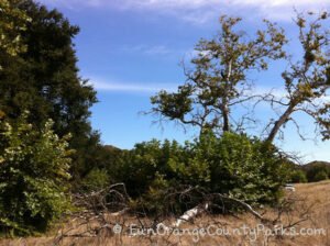 Irvine Ranch Natural Landmarks Wilderness Access Days and More