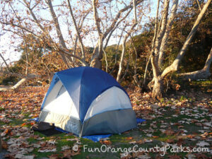 Camp Quick, Camp Local