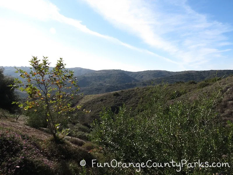 nature views towards the canyon at the back of the park which is fenced off from visiting